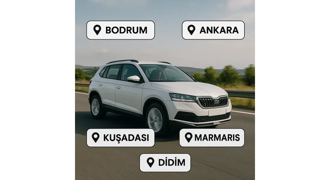 Şubelerimiz